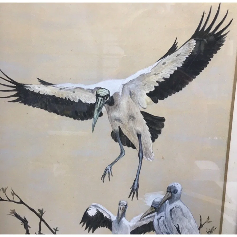 Crane Egret Stork Birds and Storkling Artist Signed Artwork Vintage Framed